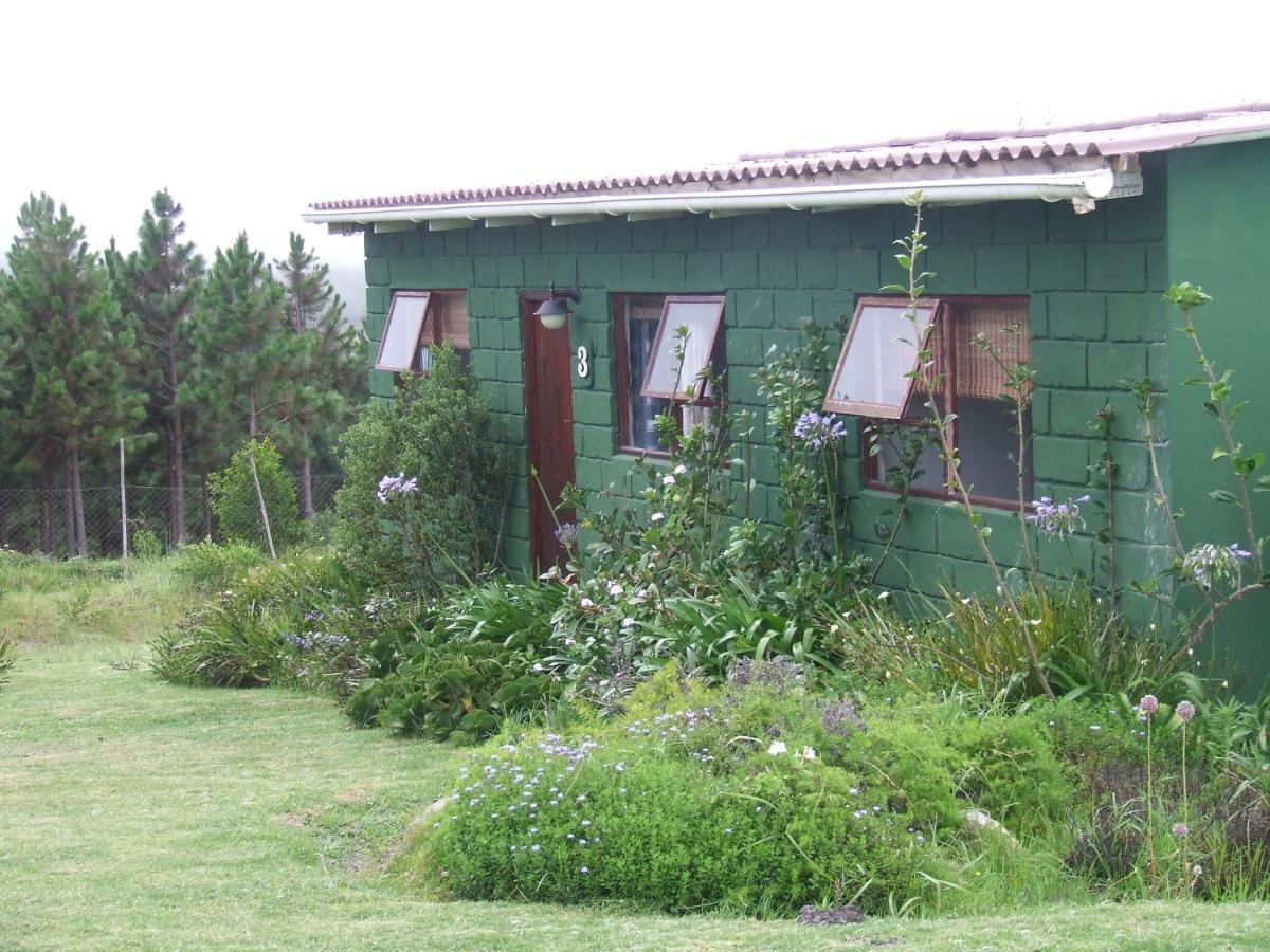 Hotel Tsitsikamma On Sea Stormsrivier Esterno foto